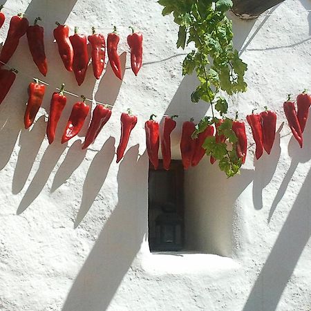Hotel Rural Cortijo La Alberca Nijar Luaran gambar