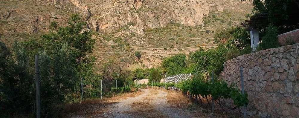 Hotel Rural Cortijo La Alberca Nijar Luaran gambar