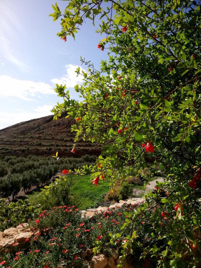 Hotel Rural Cortijo La Alberca Nijar Luaran gambar